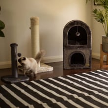 Cat Scratching Post with Toy